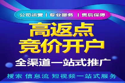 百度SEM案例：实战解析搜索排名提升之道